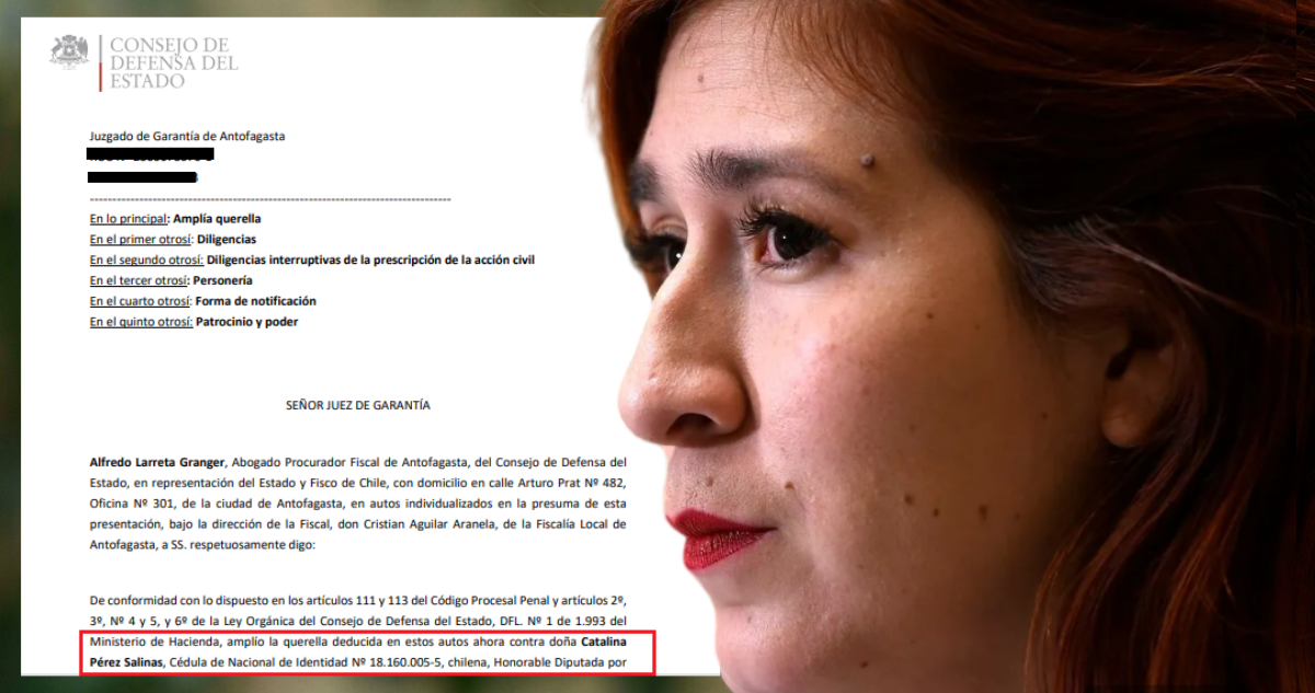 Querella del CDE por fraude al Fisco revela todos los chats que complican a diputada Catalina Pérez