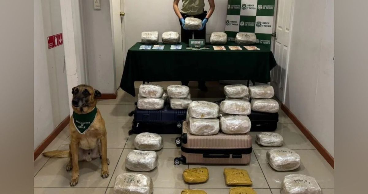 Can del OS7 detecta cargamento de marihuana en La Higuera: se detuvo a tres personas