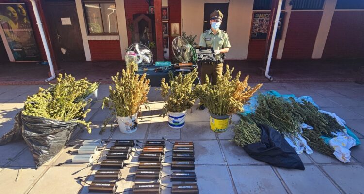 Siete detenidos por tráfico de drogas y porte ilegal de armas en Buin