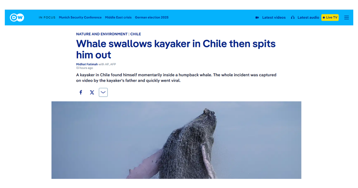 DW noticia de joven tragado y expulsado por ballena