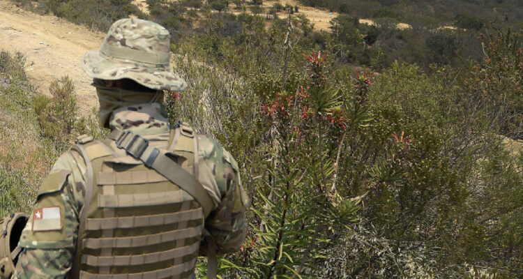 Personal del Ejército brindará seguridad a quienes combaten el incendio forestal en Mulchén