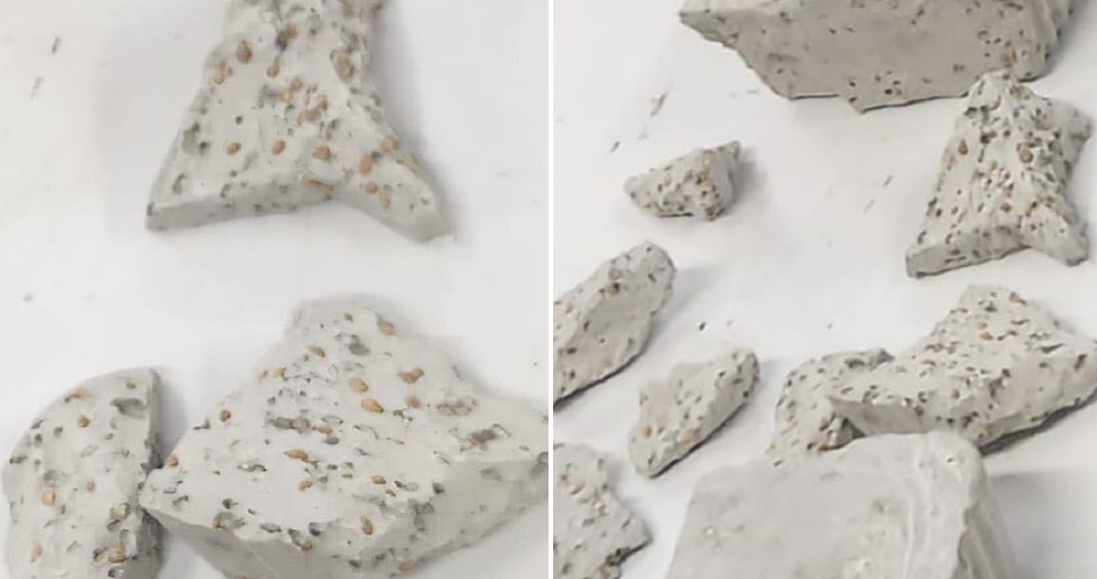 Sustancia en disputa