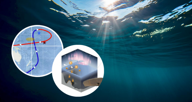 Freepik I Imagen de contexto editada con IA I DW