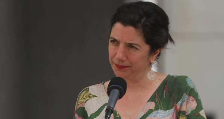 Etcheverry refuta dichos de Matthei: “Las inversiones en materia de Energía han aumentado un 33%