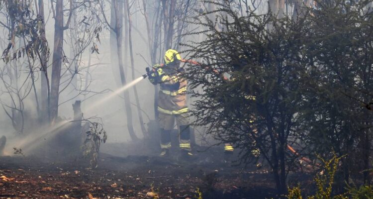 Senapred solicita evacuar sectores de Galvarino y Lautaro por incendios forestales