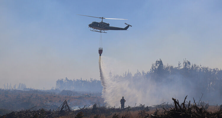 Gobierno entrega evidencia de incendios forestales: apuntó al robo de madera y reivindicaciones