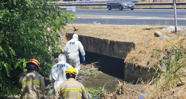 Hombre desaparecido en Romedal es hallado sin vida: PDI investiga las causas del desceso