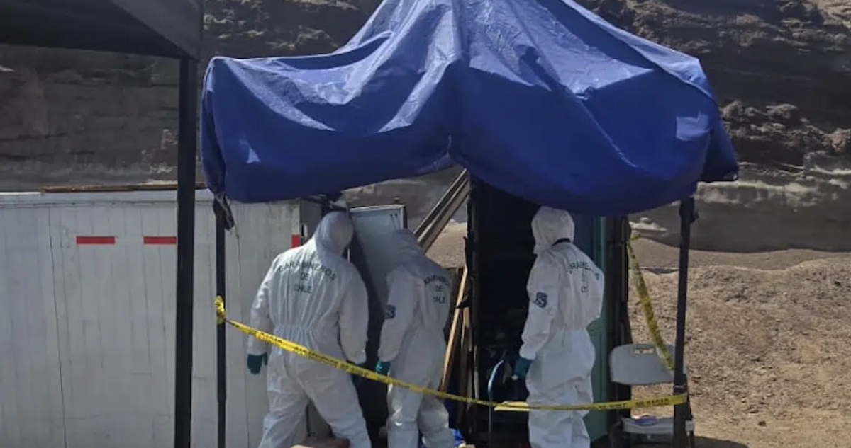 Hallan cadáver dentro de un contenedor en Antofagasta peritos creen que murió por cirrosis hepática