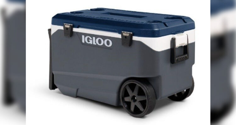 Sernac advierte por cooler con un fallo que podría causar amputación y aplastamiento en yemas de dedos