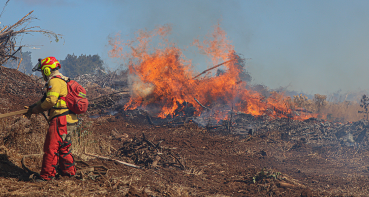 Brigadista de Conaf combatiendo incendios forestales en La Araucanía