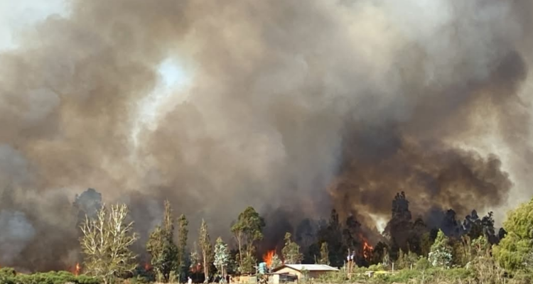 Siniestro por incendios forestales en combate en La Araucanía