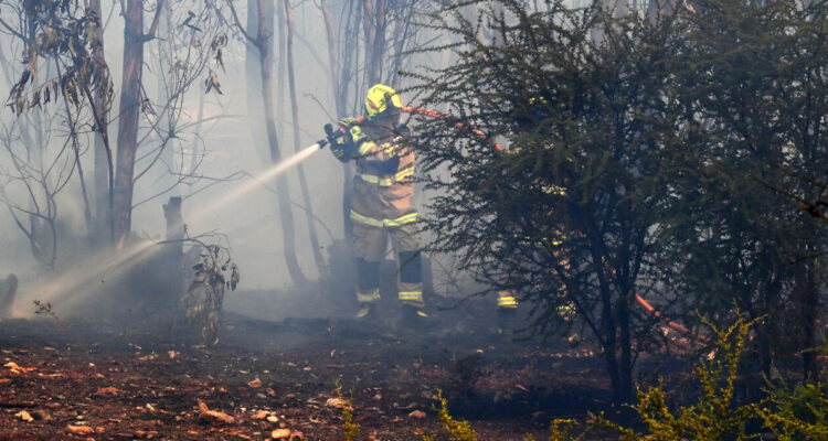 Declaran Alerta Roja para Negrete por incendio forestal originado en La Araucanía
