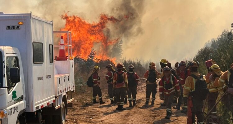 Incendios forestales en la región del Bío Bío: realizarán patrullajes mixtos y se prohibió el uso de drones