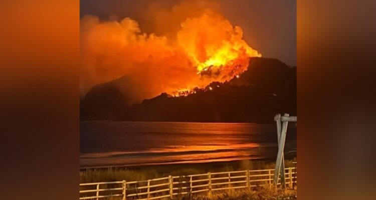 Incendio forestal en Lebu