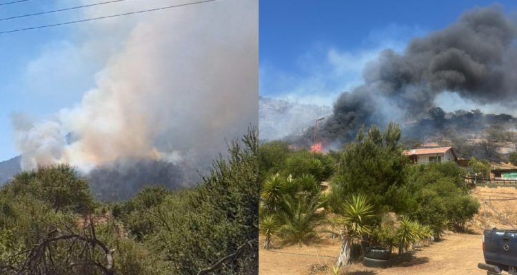 Incendio forestal en Melipilla: Senapred pidió evacuar por cercanía del siniestro a sectores poblados