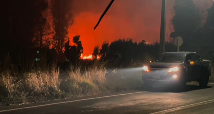 Incendio forestal se acerca a zona urbana de Collipulli: vientos bordean los 50 km/h