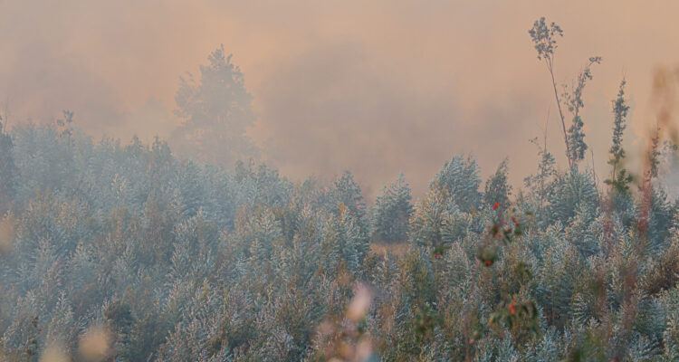 Rodrigo Fuica | Agencia UNO