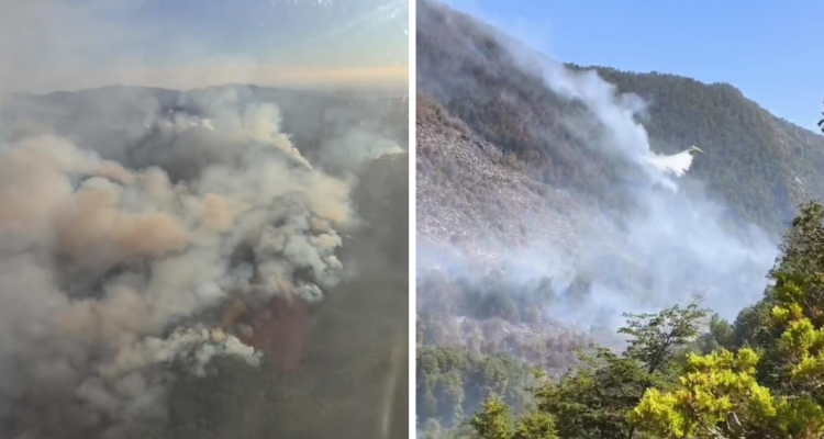 Incendio forestal en Reserva de la Biósfera ubicada en Ñuble