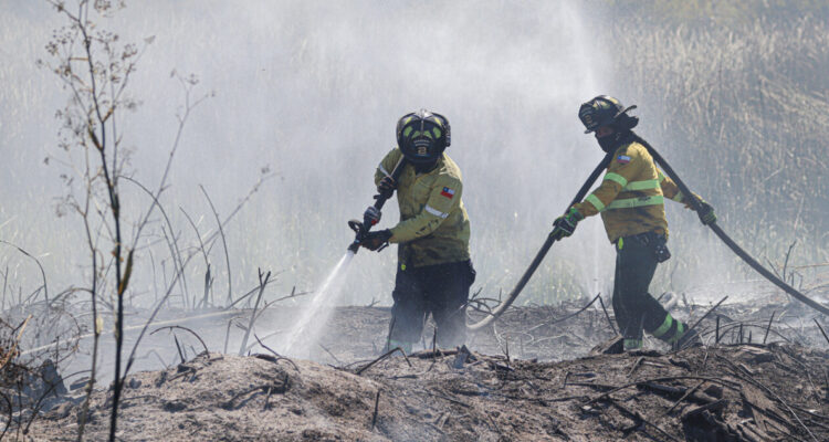Senapred emite alerta SAE para evacuar sector rural en comuna de Santo Domingo por incendio forestal