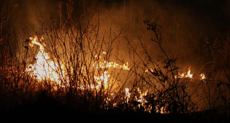 Mundo agrícola pide medidas para enfrentar los incendios y prevenir afectaciones en los cultivos
