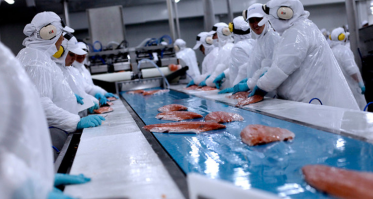 Vecinos de Lota y Coronel denuncian olores putrefactos a consecuencia de la actividad pesquera