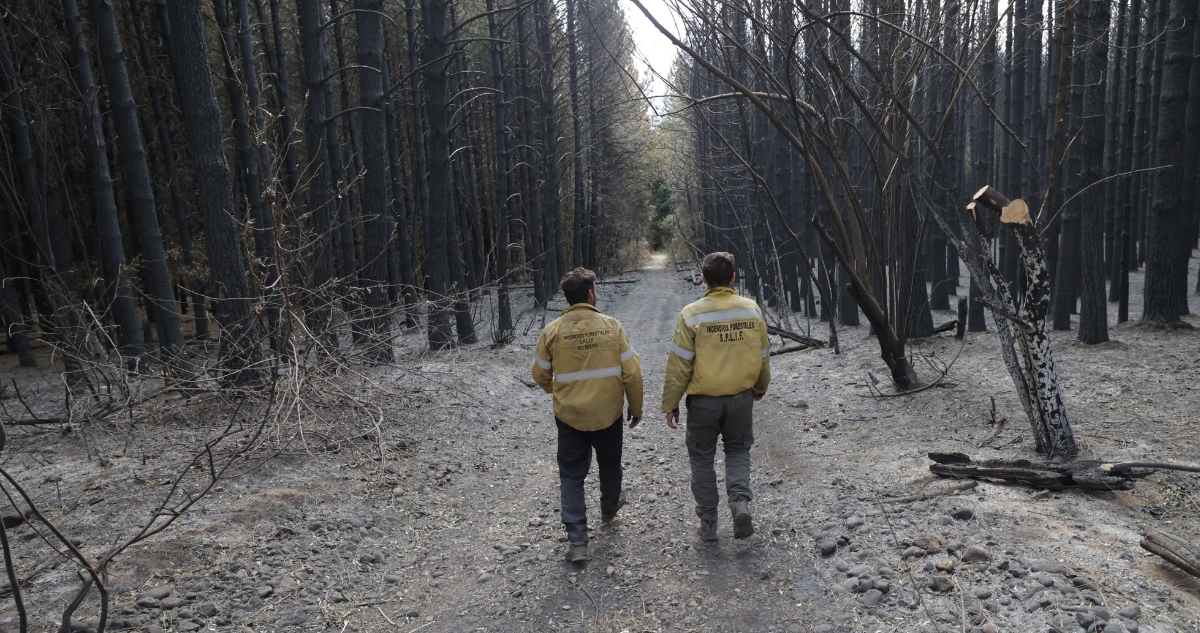 Preocupación entre autoridades Los Lagos por gran incendio en Argentina: temen que llegue a Chile