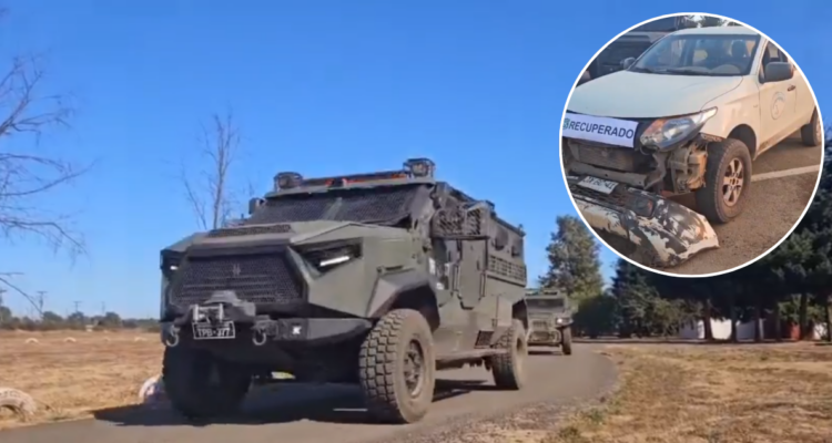 Operativo policial en Ercilla recupera 3 vehículos robados y 252 plantas de marihuana