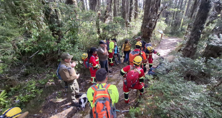 Encuentran con vida a 3 adultos mayores y guía turístico extraviados en Parque Nacional Alerce Costero