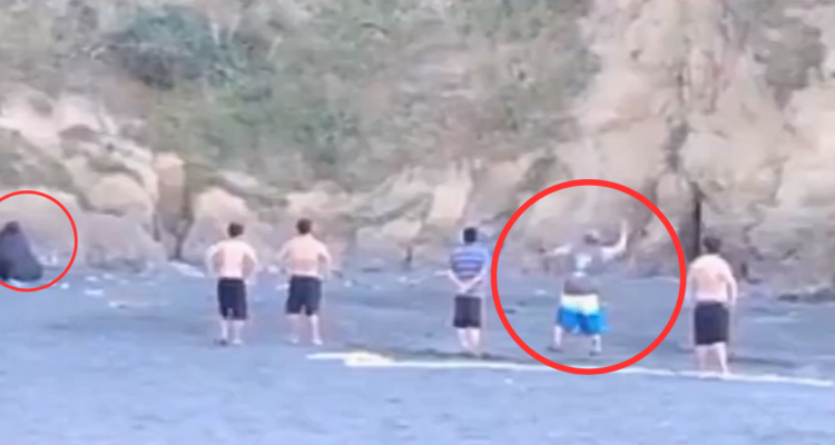 Captan cobarde ataque a lobo marino en Carahue: sujeto apedreó al animal en la playa