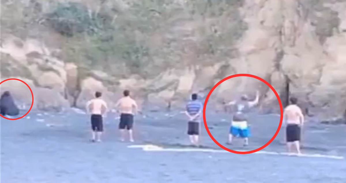 Captan cobarde ataque a lobo marino en Carahue: sujeto apedreó al animal en la playa