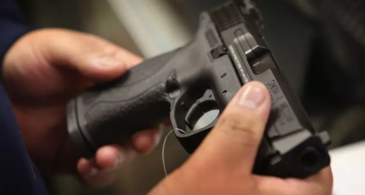 Rifles, escopeta y pistolas: delincuentes roban siete armas de fuego desde casa en Osorno