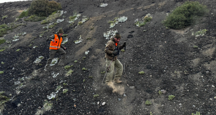 Autoridades buscan a hombre de 32 años que desapareció tras ingresar al volcán Llaima en La Araucanía