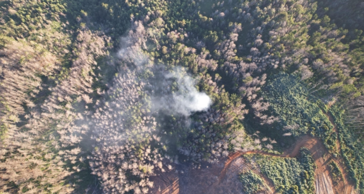 Valdivia: continúan trabajos para extinguir en su totalidad incendio forestal en sector Tres Chiflones