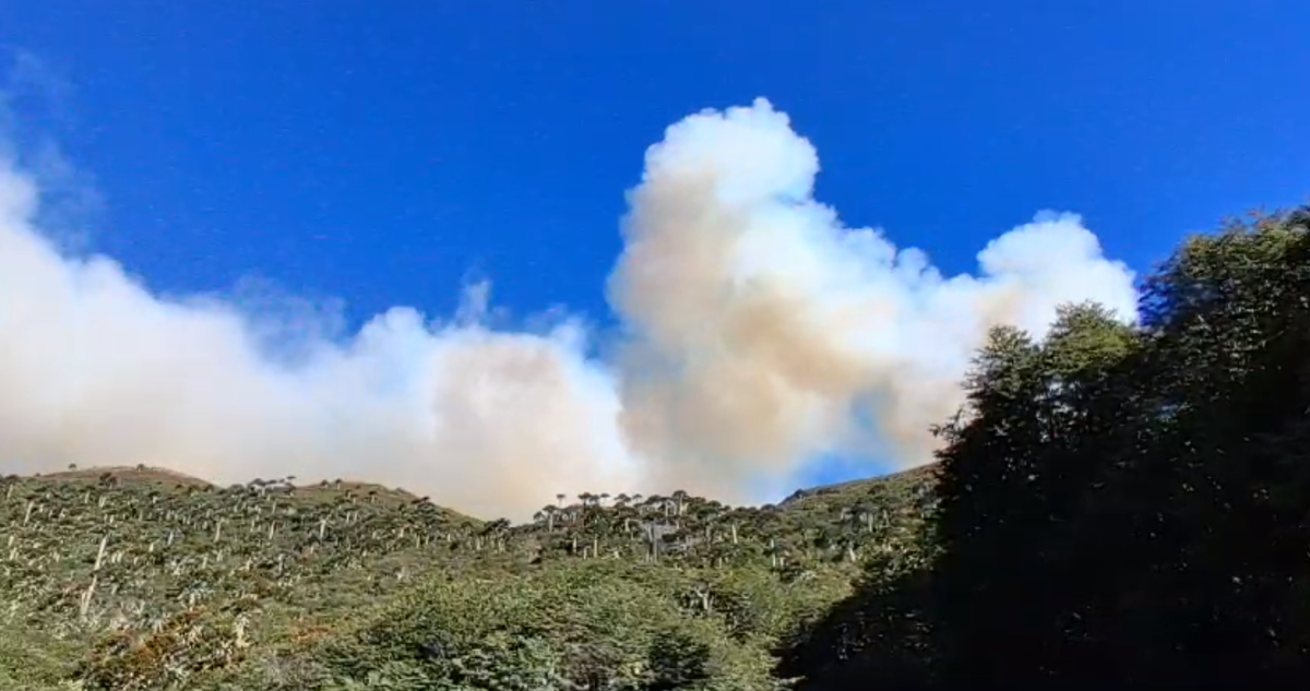 Megaincendio argentino amenaza a La Araucanía: 22 mil hectáreas de bosque nativo han sido quemadas