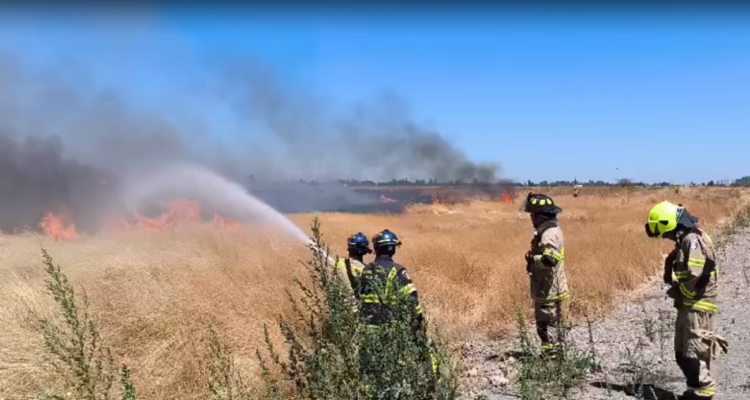 Formalizan a sujetos que habrían iniciado incendio que dejó 14 viviendas destruidas en Coihueco