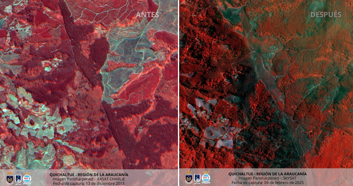 Imágenes satelitales incendios en La Araucanía