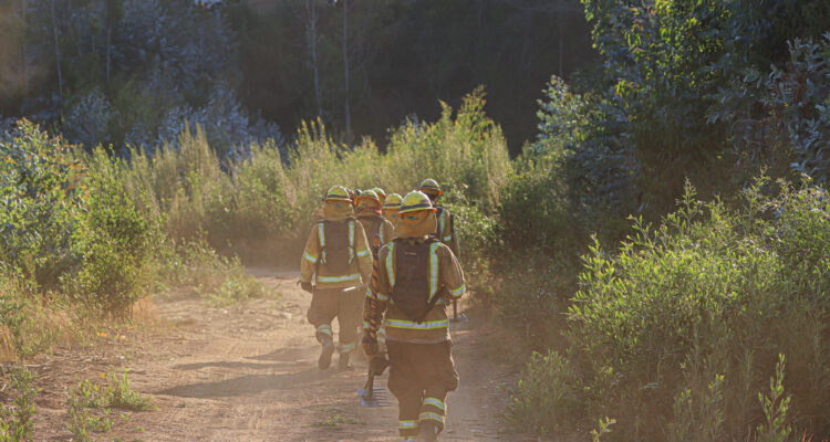 Contexto | Agencia UNO