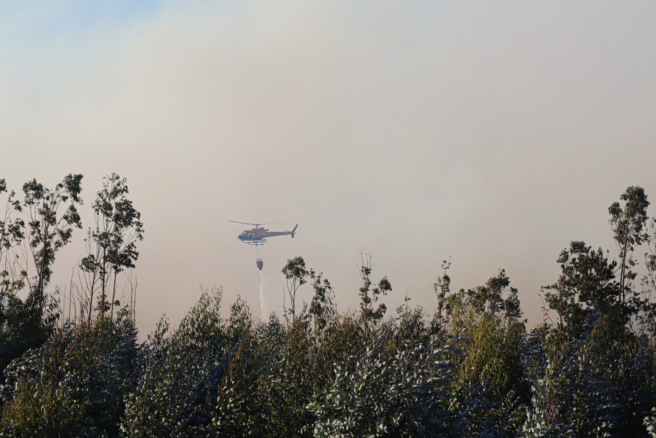 Helicóptero combatiendo incendios.