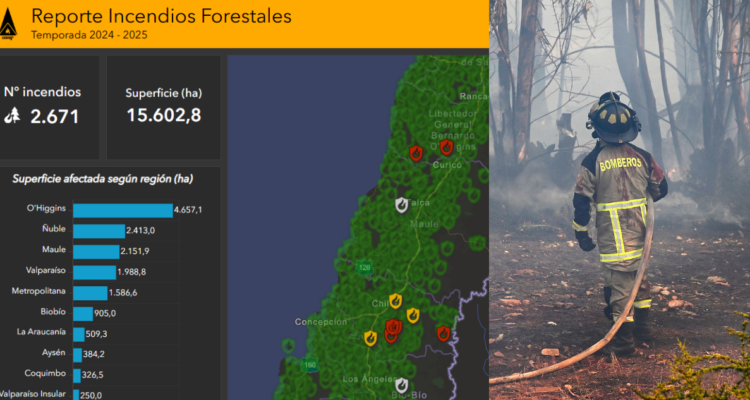 Así puedes ver los incendios forestales que están activos en Chile: revísalo con mapas y reportes