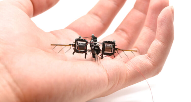 Modelo de los insectos robóticos del MIT