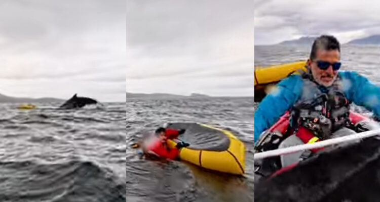 Fotos del video del joven que fue tragado por una ballena