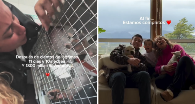 El emotivo reencuentro de pasajera de Sky con su perro, luego de que aerolínea le negara viajar con él