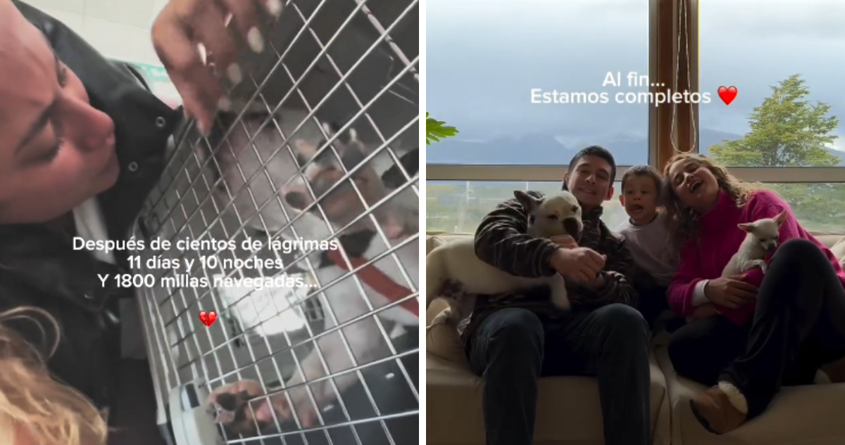 El emotivo reencuentro de pasajera de Sky con su perro, luego de que aerolínea le negara viajar con él