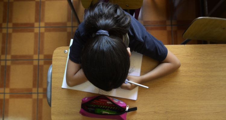 Lengua y Cultura de los Pueblos Originarios Ancestrales, una aclaración necesaria