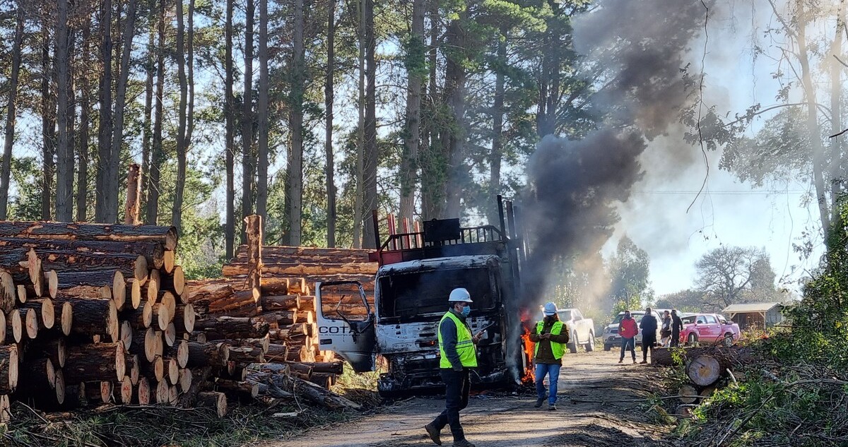 Robo de madera y atentados en la Macro Zona Sur
