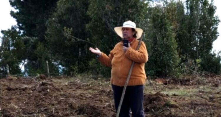 Familiares de adulta mayor mapuche de Toltén piden su libertad: está presa por robo de madera