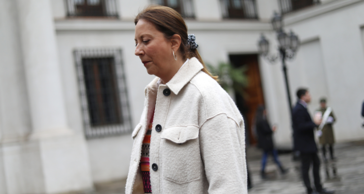 Natalia Piergentili renuncia a la vicepresidencia del PPD: argumentó “desafíos profesionales”