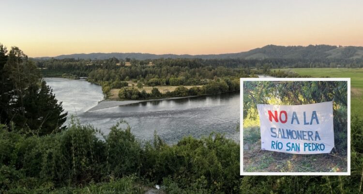 Cristian Cerna – RBB Valdivia