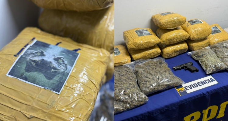 PDI ejecuta la “Operación Cocodrilo”: incauta $117 millones en marihuana y detiene a dos personas