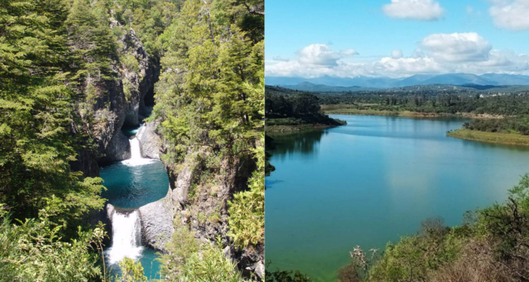 Los parques nacionales de Chile que sí y no funcionarán por cierre anunciando por la autoridad debido a ola de calor y temperaturas extremas máximas.